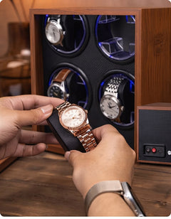 Multi-Slot Automatic Watch Winder Watch Box US Walnut Wood Glass Lid